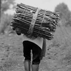 Old woman in Bandung Indonesia  carried fired wood to sell it in the city.