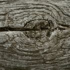 Old Wood 2014