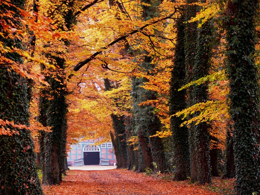 Oldenburger Herbsttag