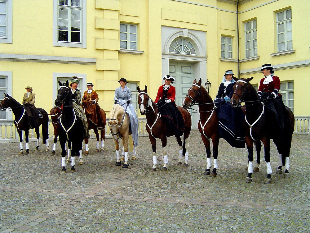 Oldenburger Pferde