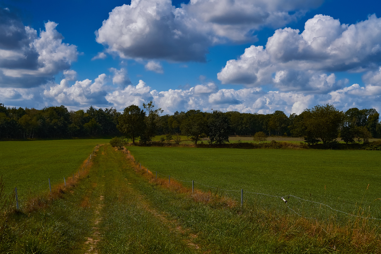 Oldenburger Umland Foto & Bild landschaft, Äcker, felder & wiesen