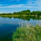 Oldendorfer Teich im Sommer
