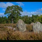 Oldendorfer Totenstatt - Lüneburger Heide