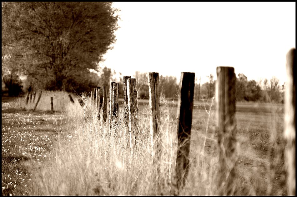 ::::OldFence::::