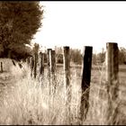 ::::OldFence::::