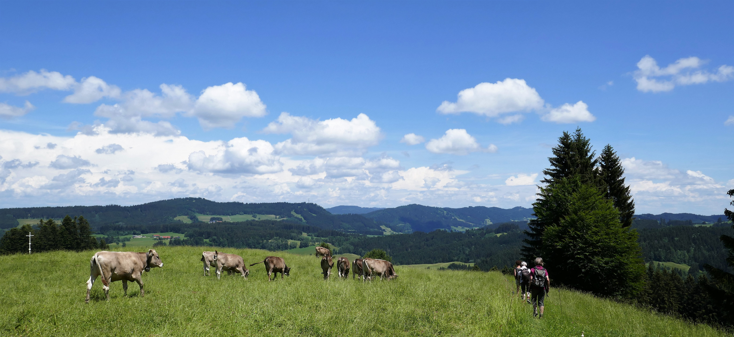 Oldies und Schumpen