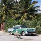 Oldsmobile am Strand