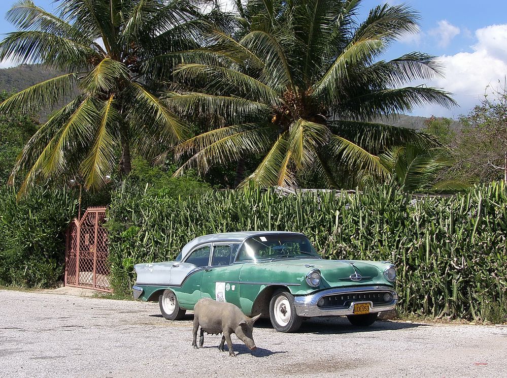 Oldsmobile am Strand