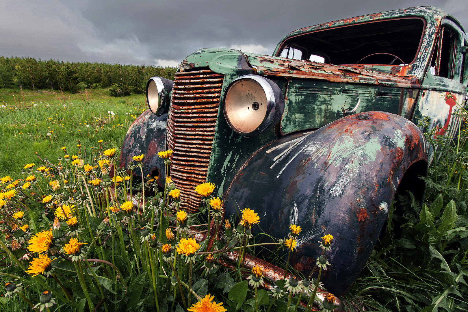 Oldtimer auf Autofriedhof