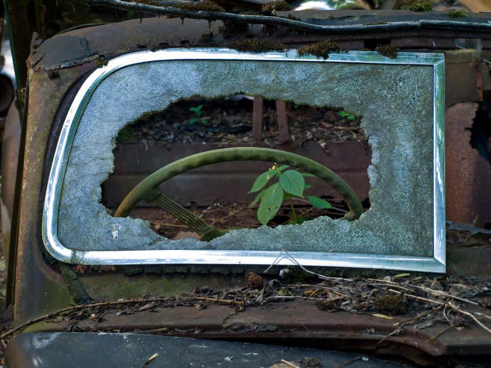 Oldtimer auf dem Autofriedhof Gürbetal in der Schweiz