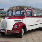 Oldtimer Bus ( 3 )