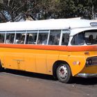 Oldtimer Bus