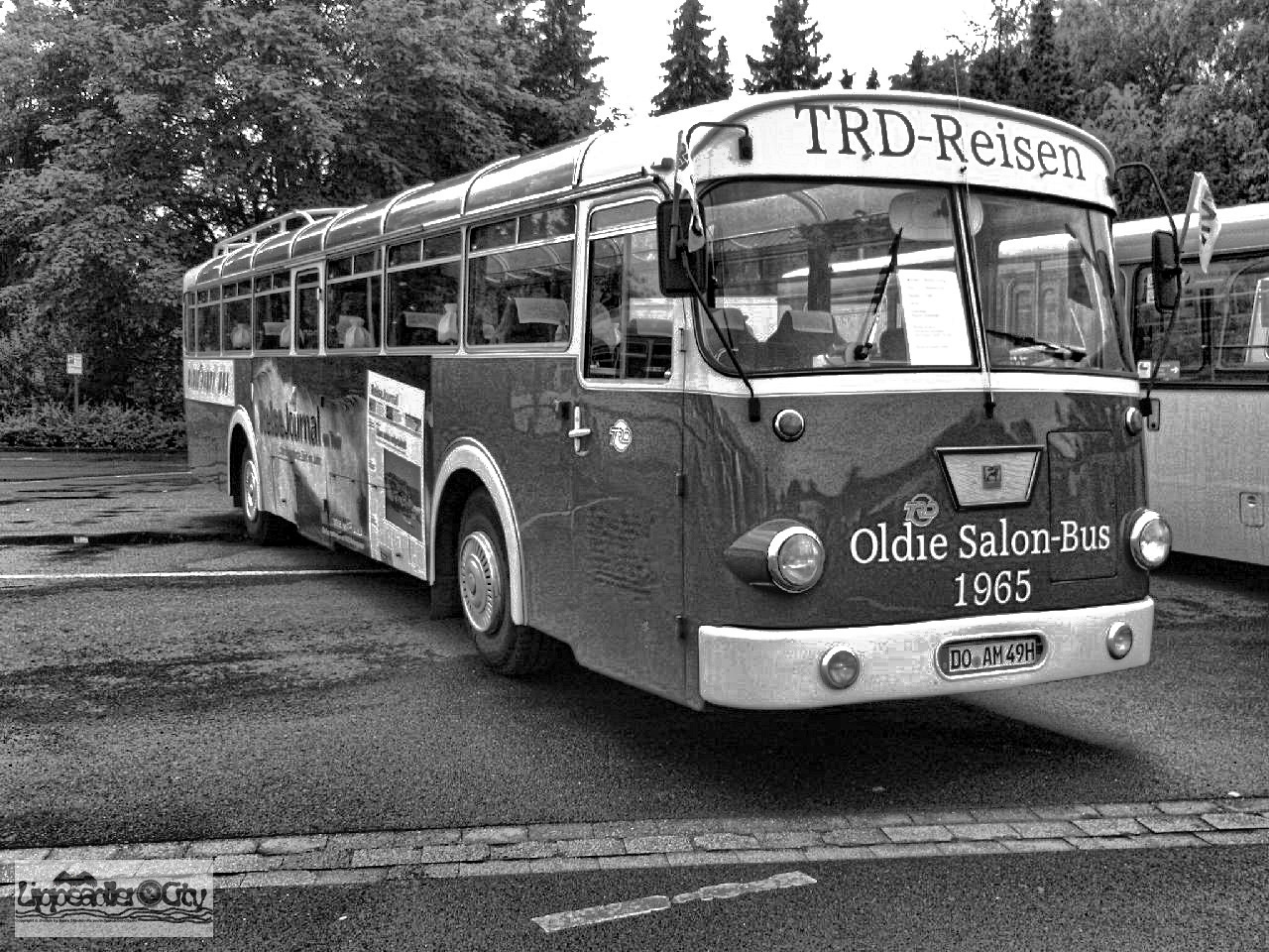 Oldtimer Bus von TRD Reisen