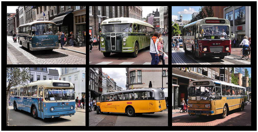 Oldtimer Busse in Dordrecht