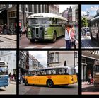 Oldtimer Busse in Dordrecht