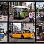 Oldtimer Busse in Dordrecht