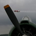 Oldtimer-Fliegertreffen 2007 auf der Hahnweide