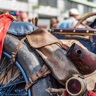 Oldtimer Grand Prix Nürburgring 2017