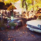 Oldtimer im Herbst 