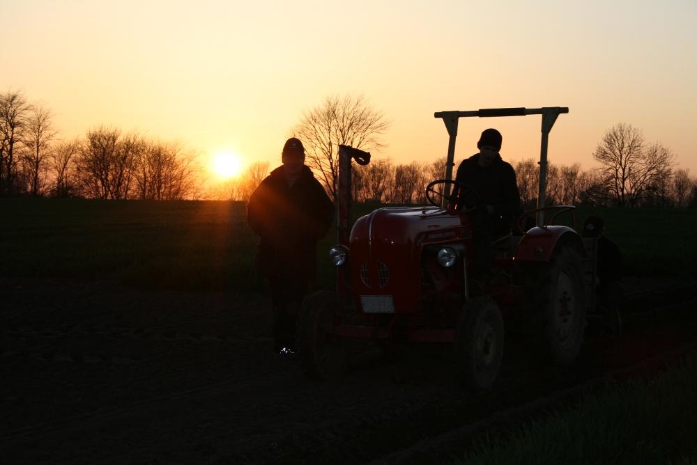 Oldtimer im Sonnenuntergang an der Krokauer Mühle