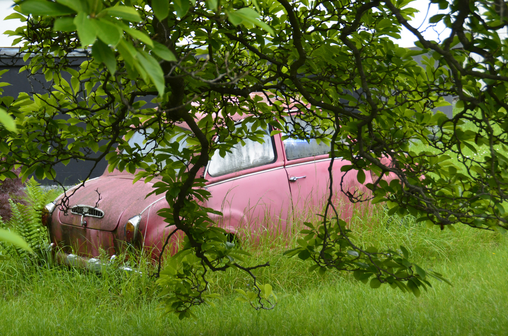 Oldtimer im Vorgarten 