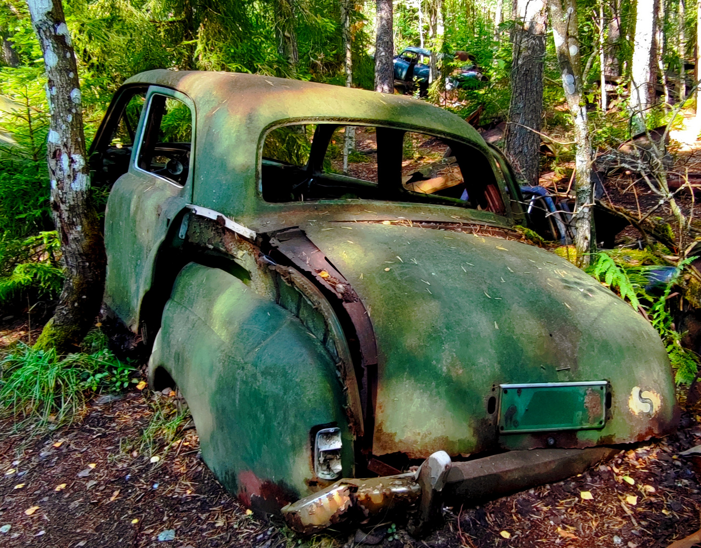 Oldtimer im Wald 