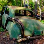 Oldtimer im Wald 