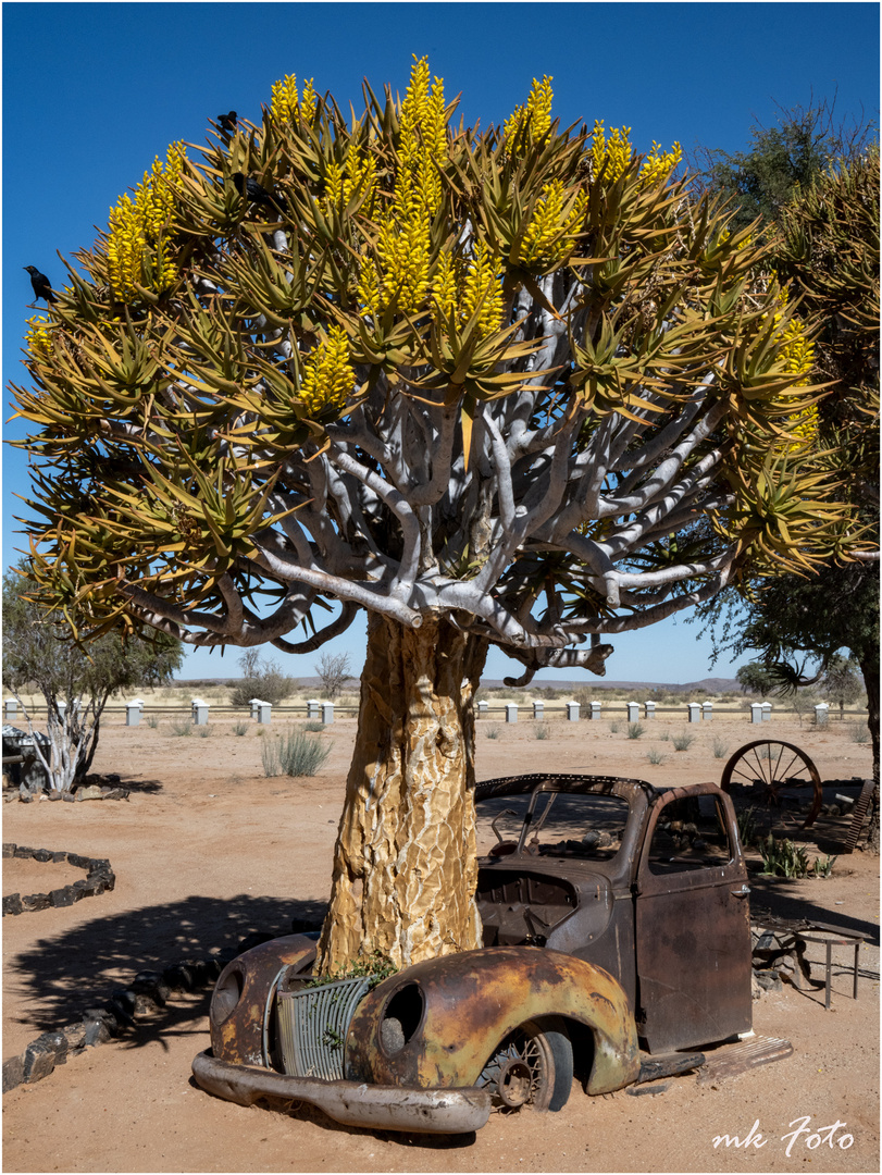 "Oldtimer" in Namibia II