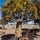 "Oldtimer" in Namibia II