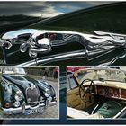 Oldtimer - Jaguar