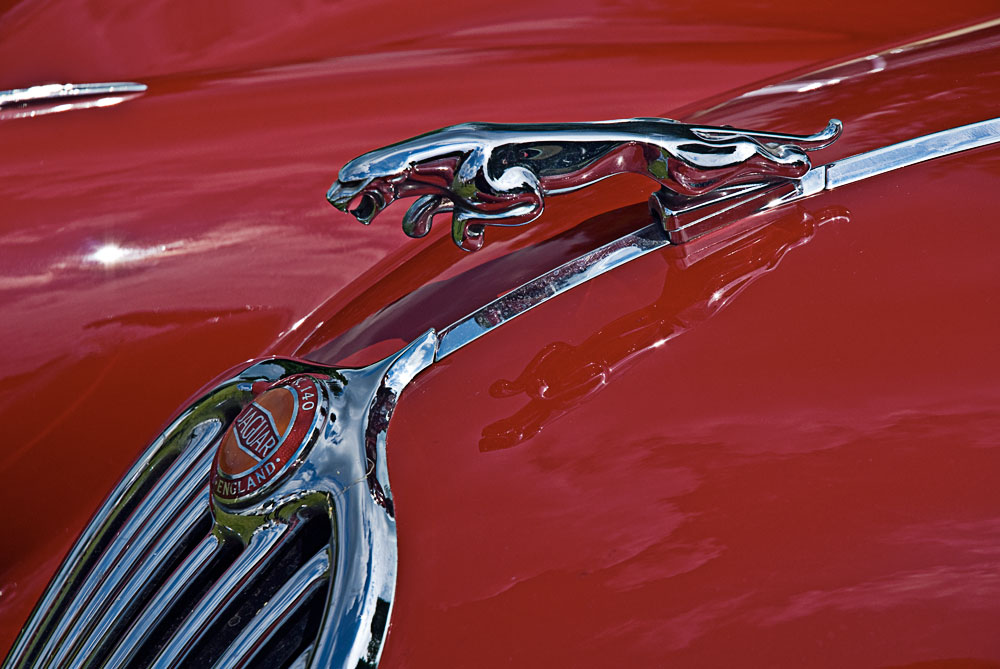 Oldtimer Jaguar-Emblem