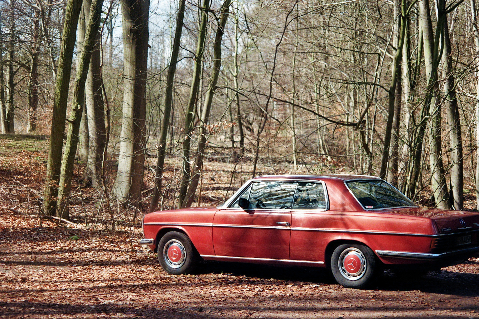 Oldtimer Mercedes // Analog