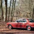 Oldtimer Mercedes // Analog