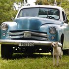 Oldtimer mit Hund