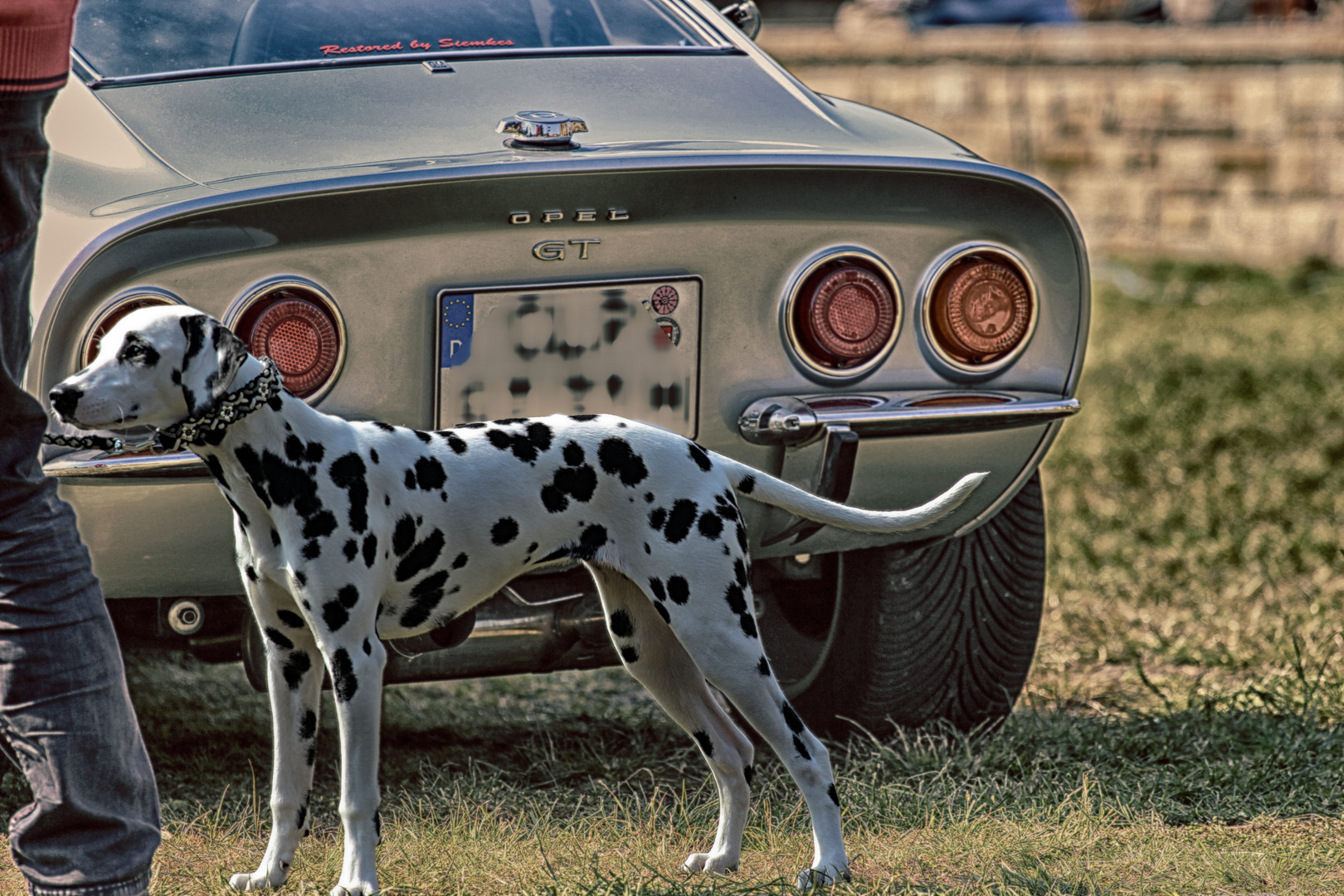 Oldtimer mit Hund