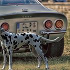 Oldtimer mit Hund