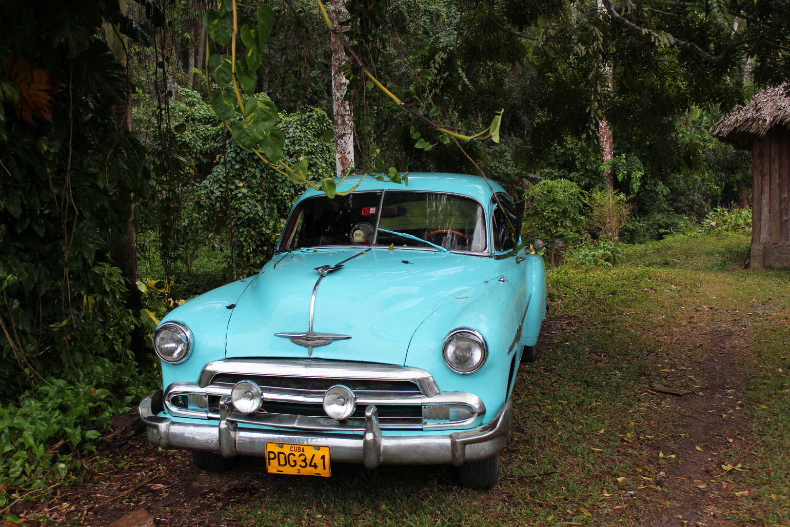 Oldtimer & Natur