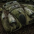 Oldtimerfriedhof - Jaguar