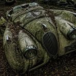 Oldtimerfriedhof - Jaguar