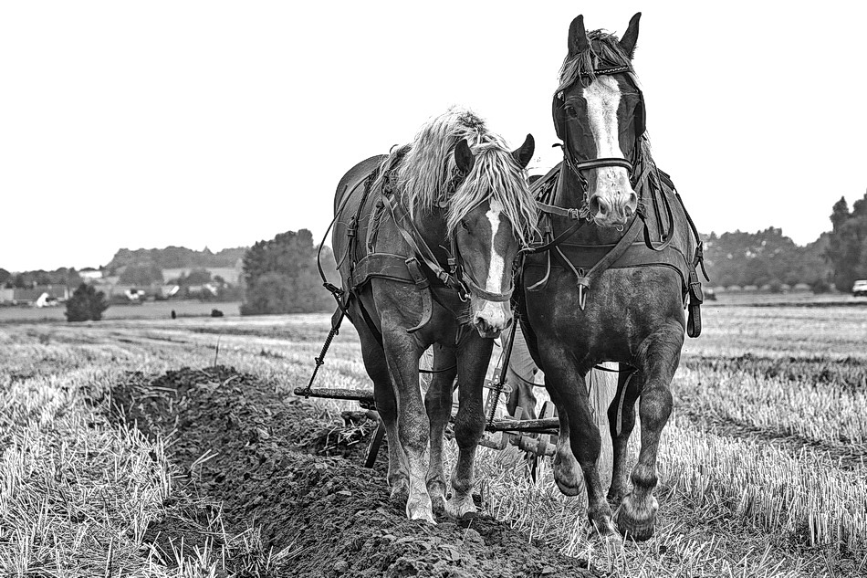 Oldtimerpfügen ...