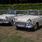 Oldtimertreffen an der Trabrennbahn-V49