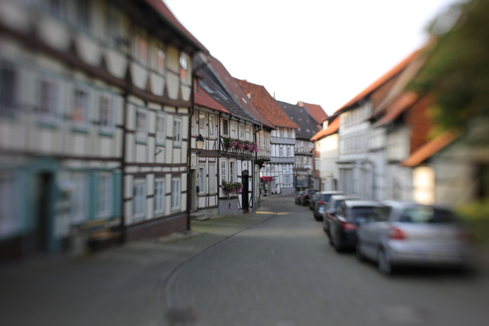 +++Oldtown+++