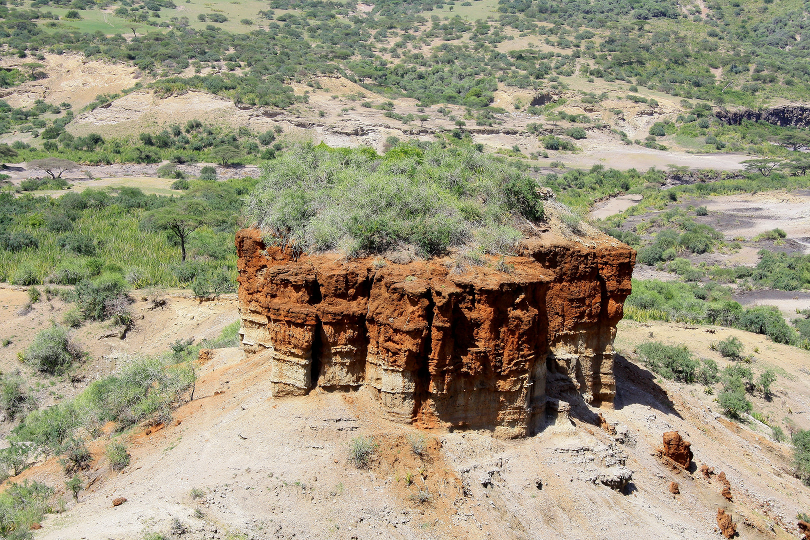 Olduvai Schlucht