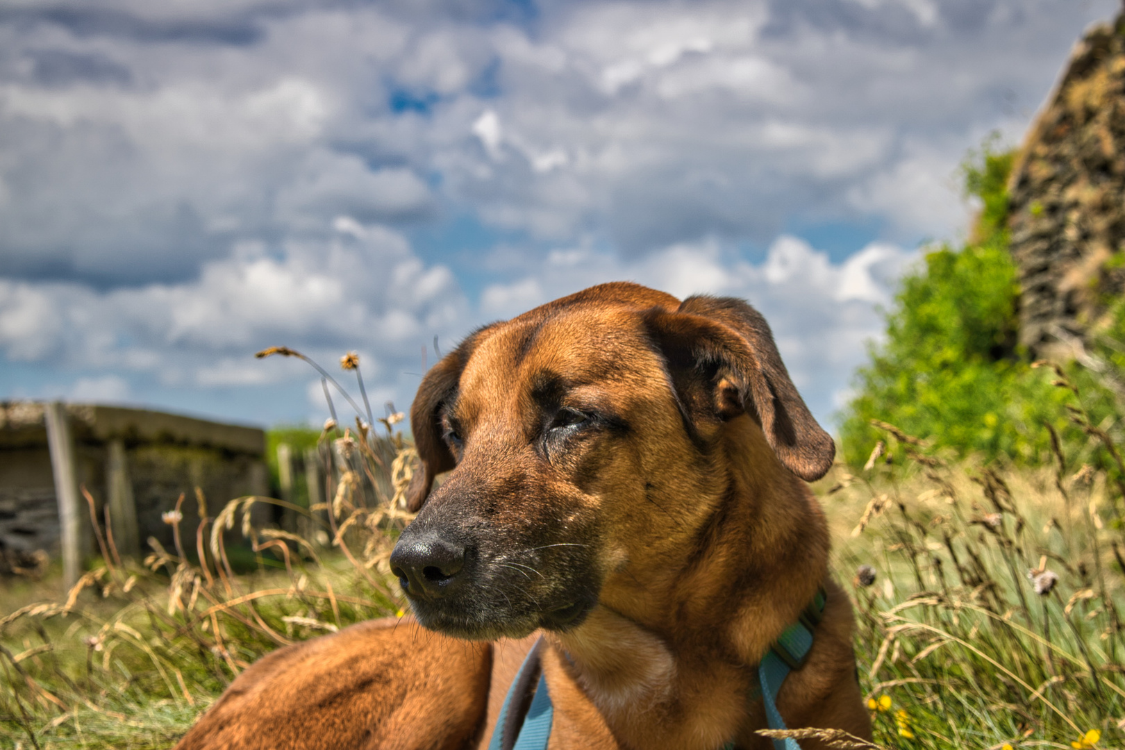 Ole in der Bretagne