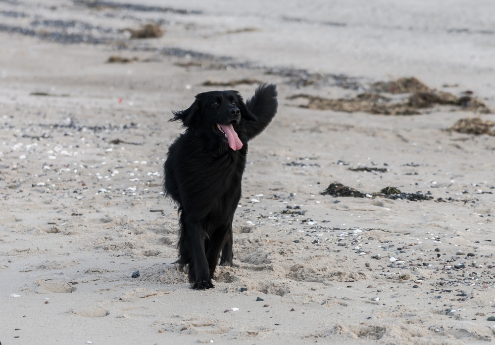 Ole ist glücklich am Strand