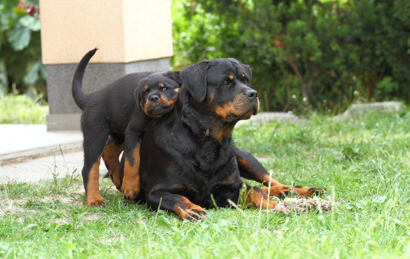 Ole und Mama