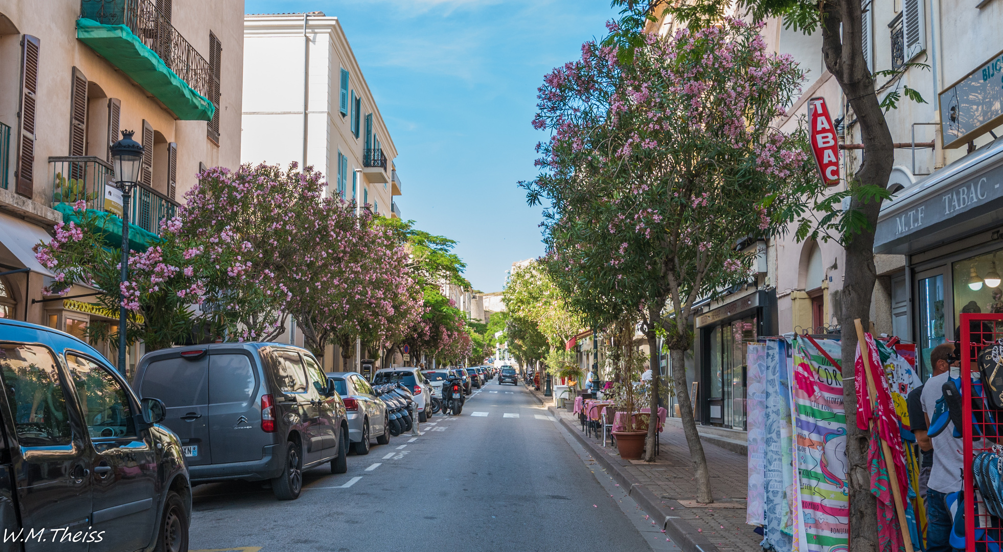 Oleander auf den Bäumen ?