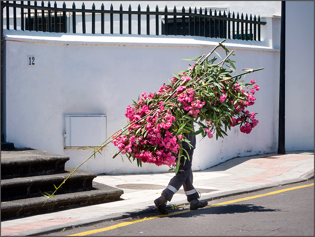 Oleander on tour