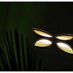 OLED-Schmetterling