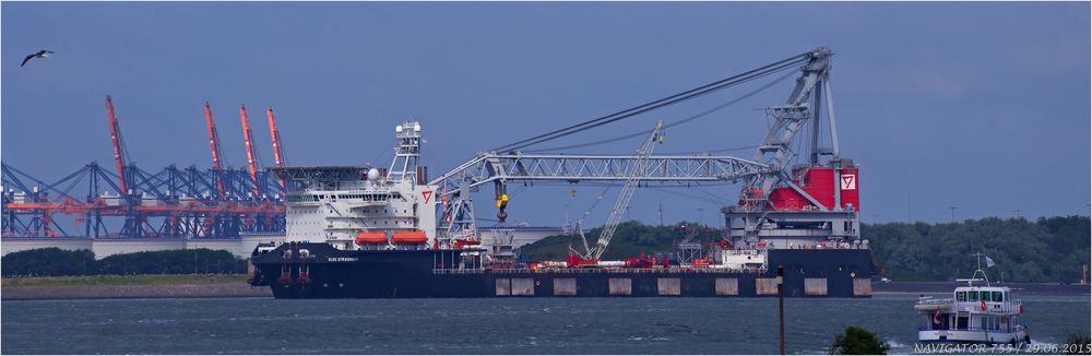 OLEG STRASHNOV / Heavy Load Carrier / Rotterdam